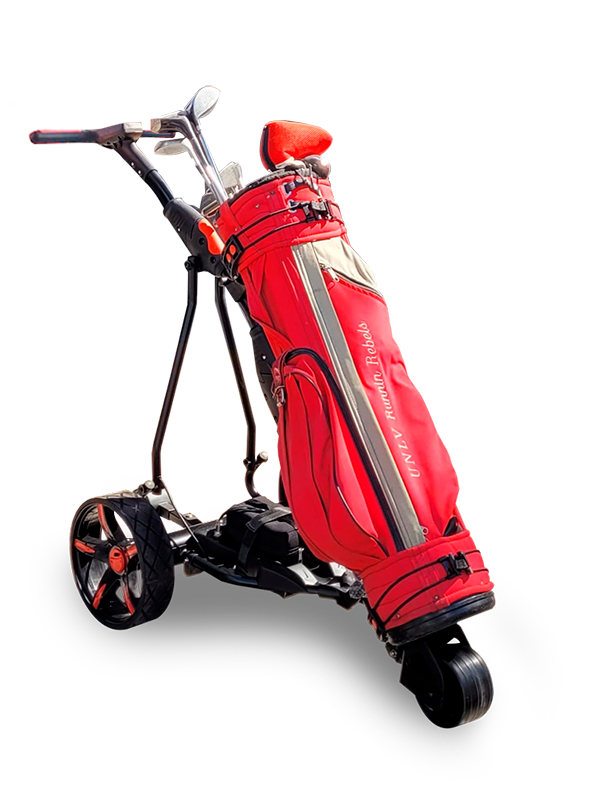 carrito-de-golf-electrico